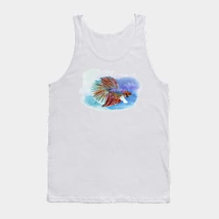 Halfmoon Betta Fish Tank Top